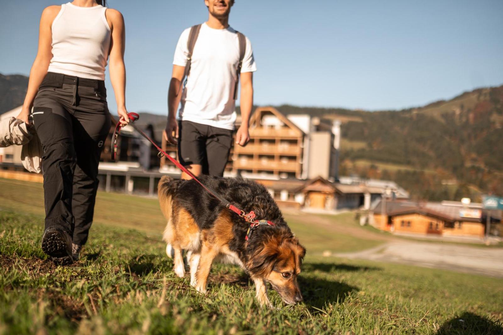 Adea Lifestyle Suites Fieberbrunn Buitenkant foto